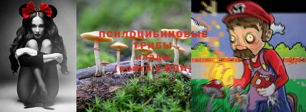 не бодяженный Зеленодольск